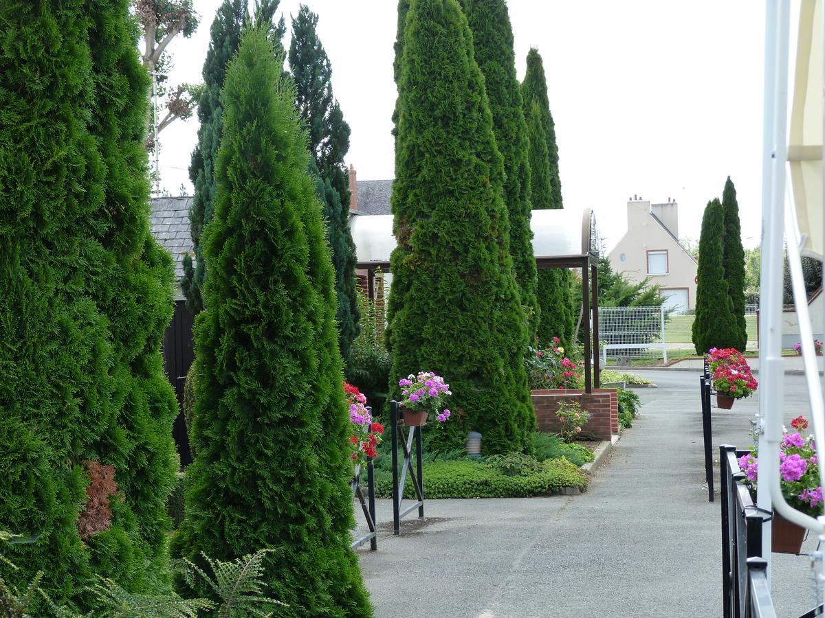 Hostellerie Du Chateau Saint-Pere-sur-Loire Экстерьер фото