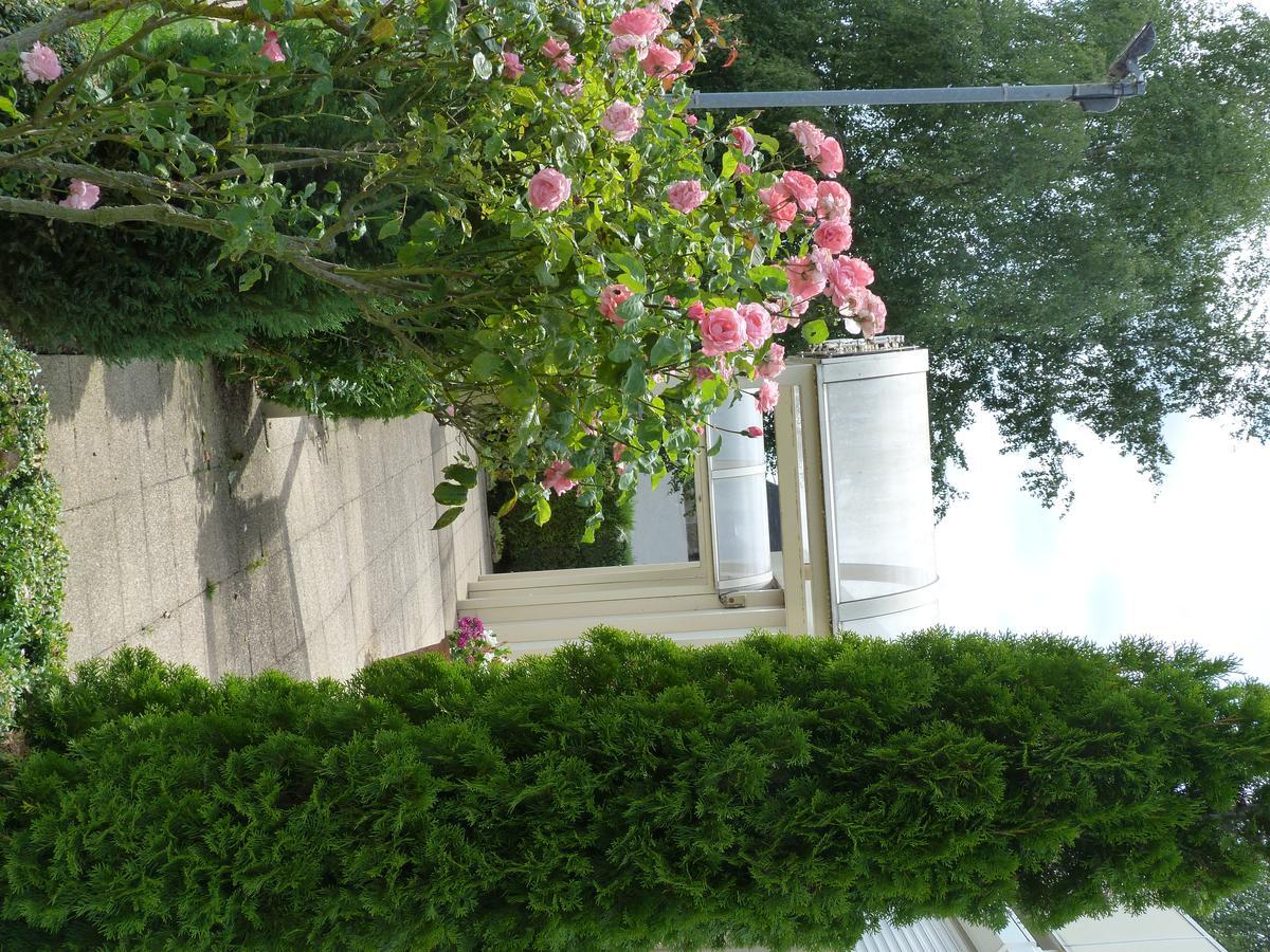 Hostellerie Du Chateau Saint-Pere-sur-Loire Экстерьер фото